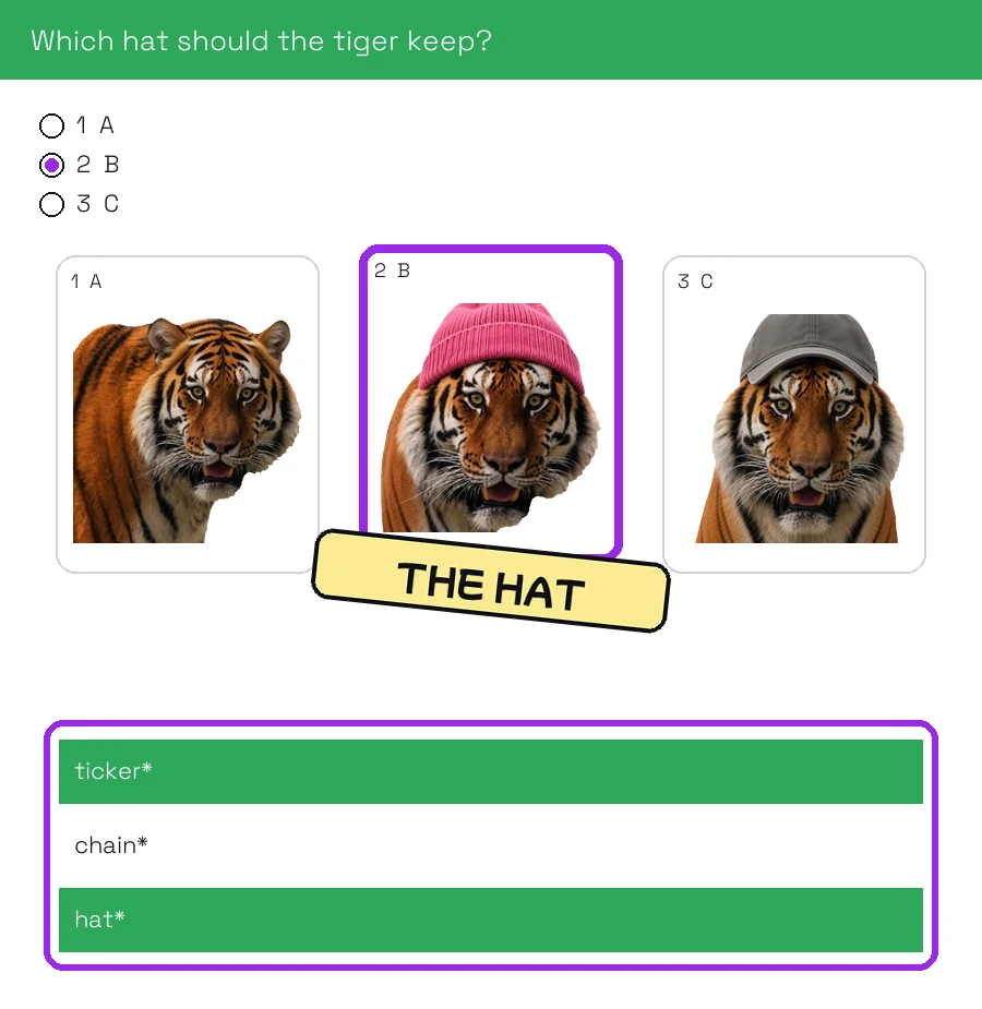 Three looks for the tiger. The pink beanie in the middle is highlighted as the one that stayed.